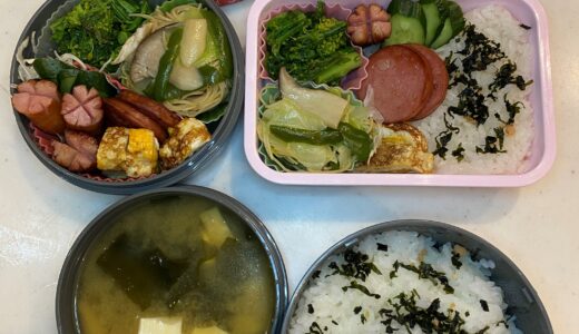 今日も気楽なグリーンお弁当♪