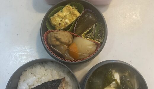 今日も気楽な鮭弁当～♪